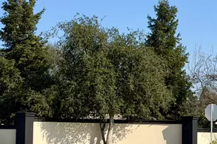 2101 Via Prego, Oakdale, CA 95361 - Photo 38