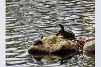 Leafwood Way, Folsom, CA 95630 - Photo 34