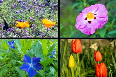 10526 Indian Shack Road, Nevada City, CA 95959 - Photo 62