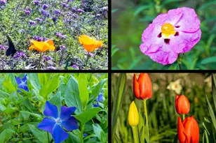 10526 Indian Shack Rd, Nevada City, CA 95959 - Photo 62