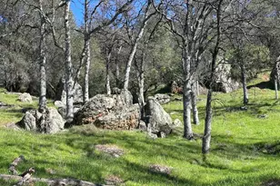 1933 Appaloosa Way, Angels Camp, CA 95222 - Photo 58