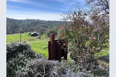 1933 Appaloosa Way, Angels Camp, CA 95222 - Photo 70