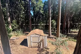 6200 Spruce Ave, Pollock Pines, CA 95726 - Photo 10