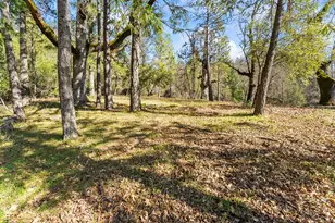 2911 Pioneer Hill Rd, Placerville, CA 95667 - Photo 40