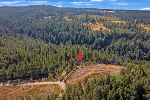 2160 Nelson Rd, Camino, CA 95709 - Photo 66