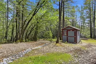 449 Plutes Way, Colfax, CA 95713 - Photo 42