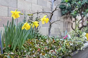 9763 Dartwell Way, Sacramento, CA 95829 - Photo 58