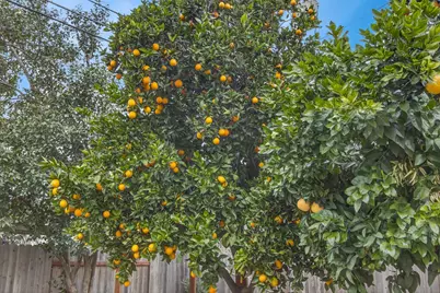 2373 Carlsbad Avenue, Sacramento, CA 95821 - Photo 42