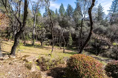 1461 Lodge View Drive, Meadow Vista, CA 95722 - Photo 58