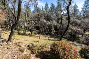 1461 Lodge View Dr, Meadow Vista, CA 95722 - Photo 58