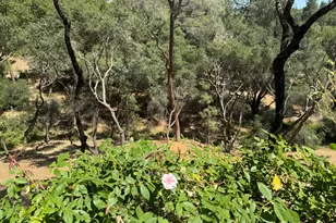 1461 Lodge View Dr, Meadow Vista, CA 95722 - Photo 56