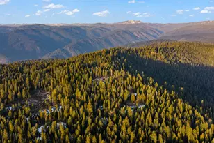 16277 Ophir Silver Rd, Nevada City, CA 95959 - Photo 44