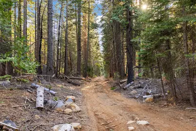 16277 Ophir Silver Road, Nevada City, CA 95959 - Photo 40