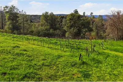 8421 Riverwood Drive, Placerville, CA 95667 - Photo 68