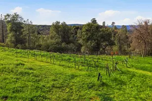 8421 Riverwood Dr, Placerville, CA 95667 - Photo 68