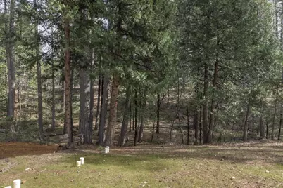 1413 Gertrude Way, Arnold, CA 95223 - Photo 42