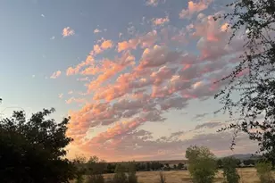 1420 Folsom Meadows Cir, Folsom, CA 95630 - Photo 60