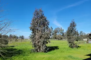 12234 Clay Station Rd, Herald, CA 95638 - Photo 42