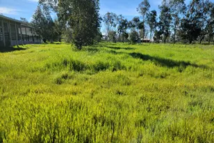 12234 Clay Station Rd, Herald, CA 95638 - Photo 40