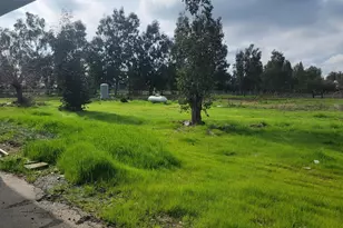 12234 Clay Station Rd, Herald, CA 95638 - Photo 32