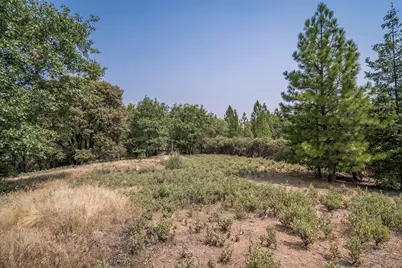 525 Deerborne Court, Colfax, CA 95713 - Photo 10