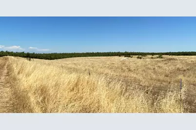 0 Wyer Road, Arbuckle, CA 95912 - Photo 24