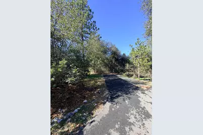 269 Montgomery Drive, Mokelumne Hill, CA 95245 - Photo 38