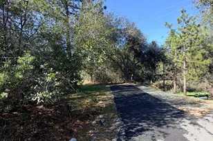 269 Montgomery Dr, Mokelumne Hill, CA 95245 - Photo 38