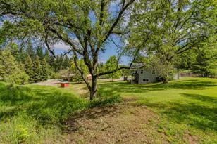 21550 Hwy 88, Pine Grove, CA 95665 - Photo 12