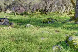 15900 Dry Creek Ln, Grass Valley, CA 95949 - Photo 72