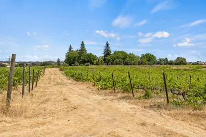 21226 Dickson Road, Plymouth, CA 95669 - Photo 12