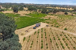 21226 Dickson Rd, Plymouth, CA 95669 - Photo 30