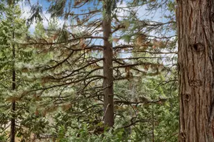 25489 Bambi Ln, Long Barn, CA 95335 - Photo 32