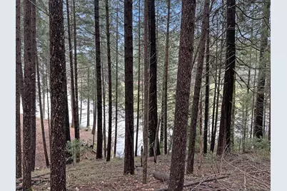 17871 Rollins View Drive, Grass Valley, CA 95945 - Photo 6