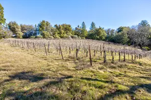 3900 Tawanka Rd, Somerset, CA 95684 - Photo 64