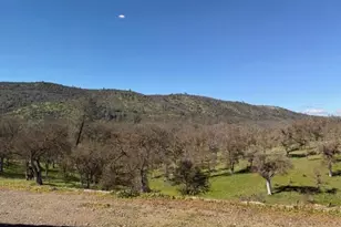 230 Quail Crk Dr, Copperopolis, CA 95228 - Photo 22