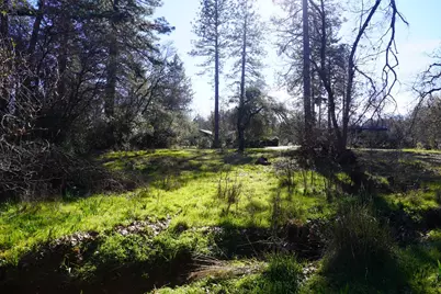 3695 Lily Lane, Shingle Springs, CA 95682 - Photo 52