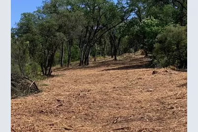 555 Jurgens Road, Rescue, CA 95672 - Photo 12