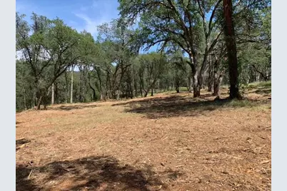 555 Jurgens Road, Rescue, CA 95672 - Photo 16