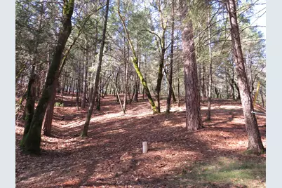 0 Forest Lake Place, Colfax, CA 95713 - Photo 12