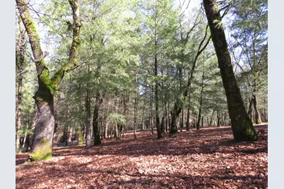 0 Forest Lake Place, Colfax, CA 95713 - Photo 6