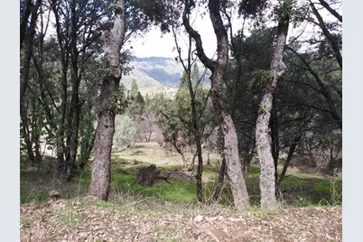 0 Snowberry Court, Murphys, CA 95247 - Photo 18