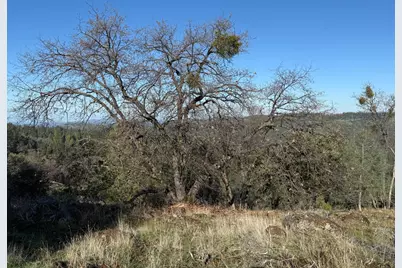 0 Snowberry Court, Murphys, CA 95247 - Photo 4