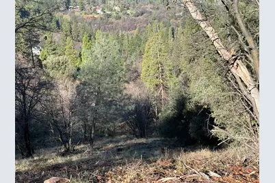 0 Snowberry Court, Murphys, CA 95247 - Photo 6