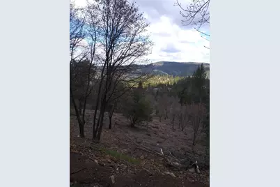 0 Snowberry Court, Murphys, CA 95247 - Photo 16