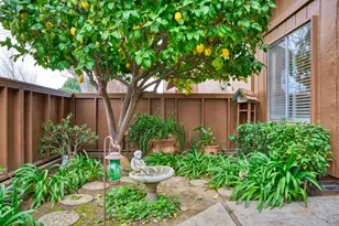 1809 Holly Oak Dr, Modesto, CA 95354 - Photo 6