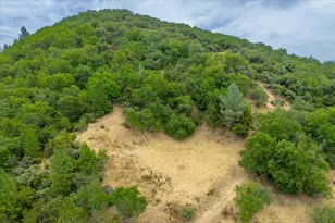 1641 Needmore Dr, Shingle Springs, CA 95682 - Photo 40