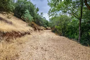 1641 Needmore Dr, Shingle Springs, CA 95682 - Photo 32