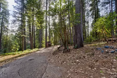 14669 Marysville, Camptonville, CA 95922 - Photo 6