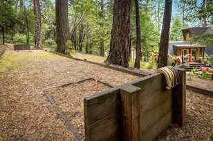 5043 Virginia Bird Mine Ct, Foresthill, CA 95631 - Photo 10